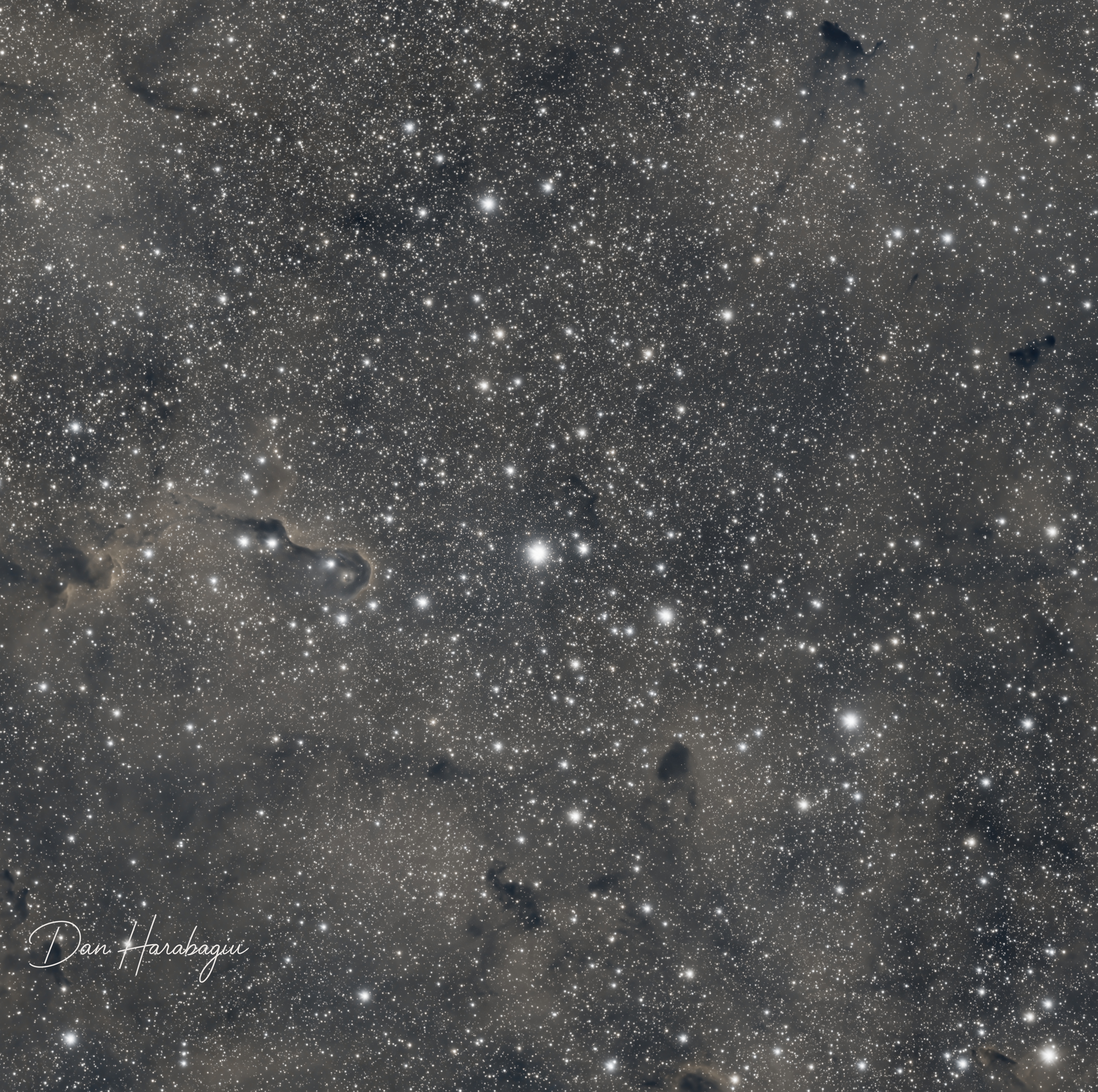 IC 1396 Mosaic