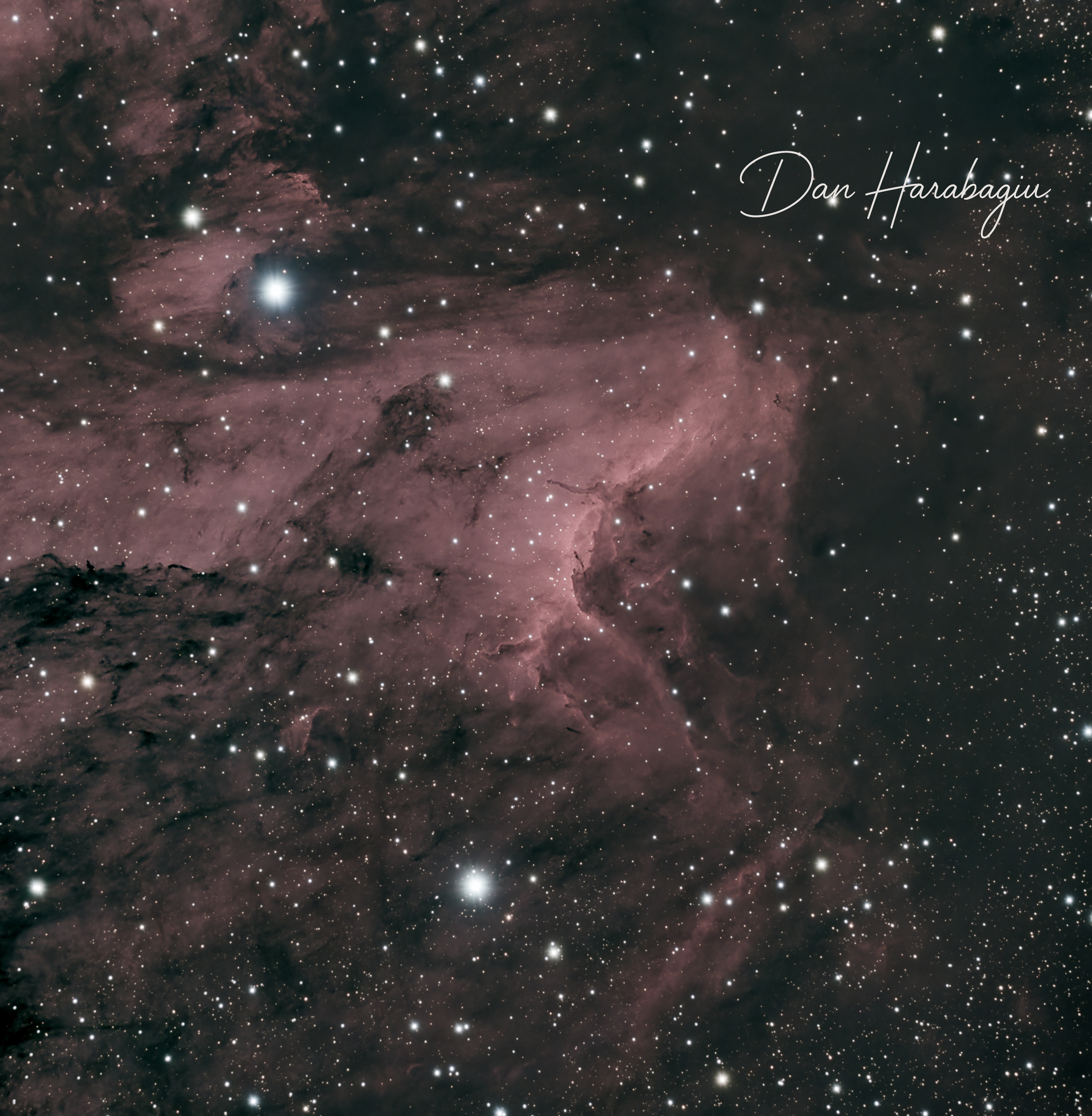 IC 5070 – The Pelican Nebula