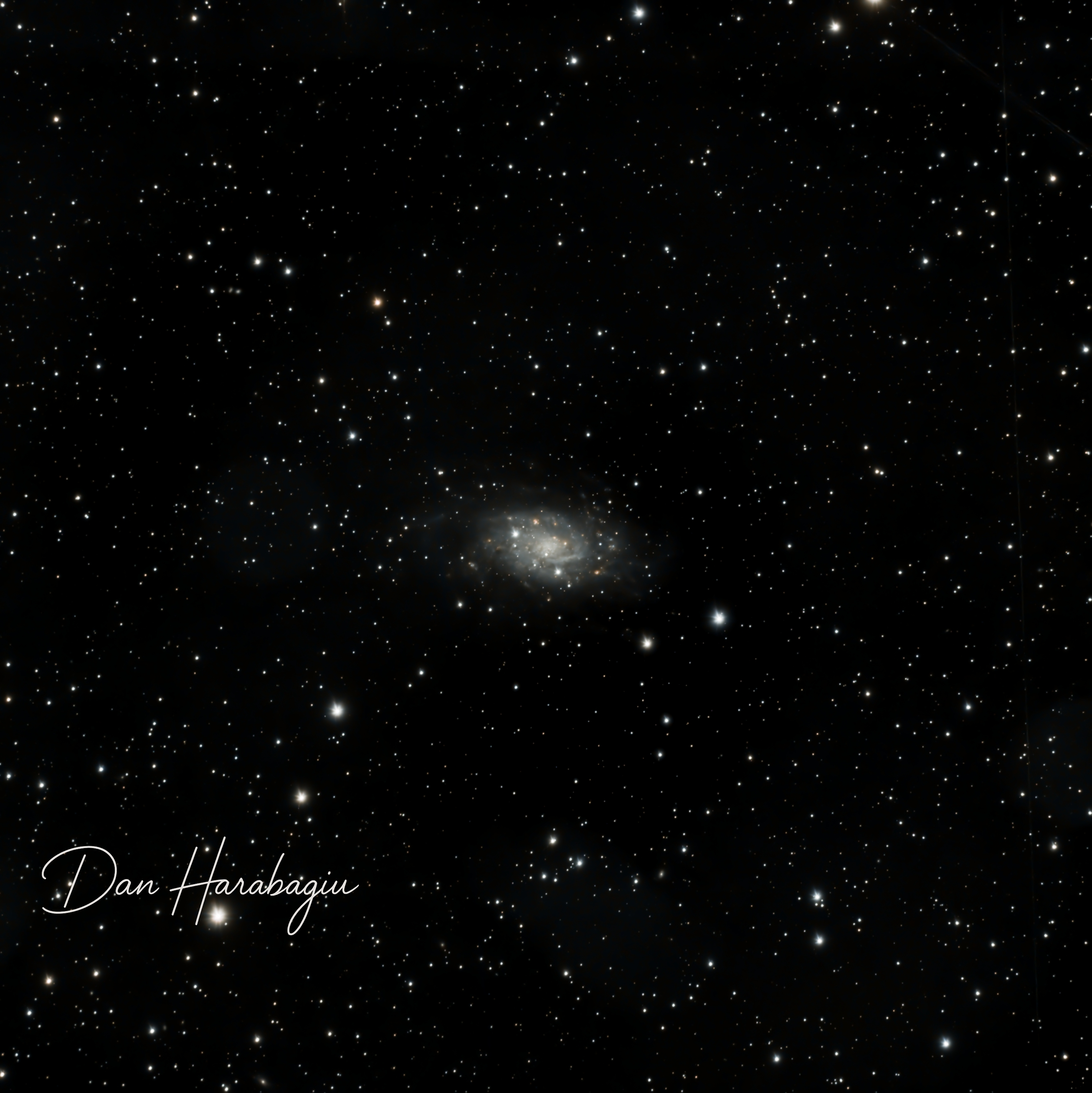NGC 2403 – Spiral Galaxy in Camelopardalis