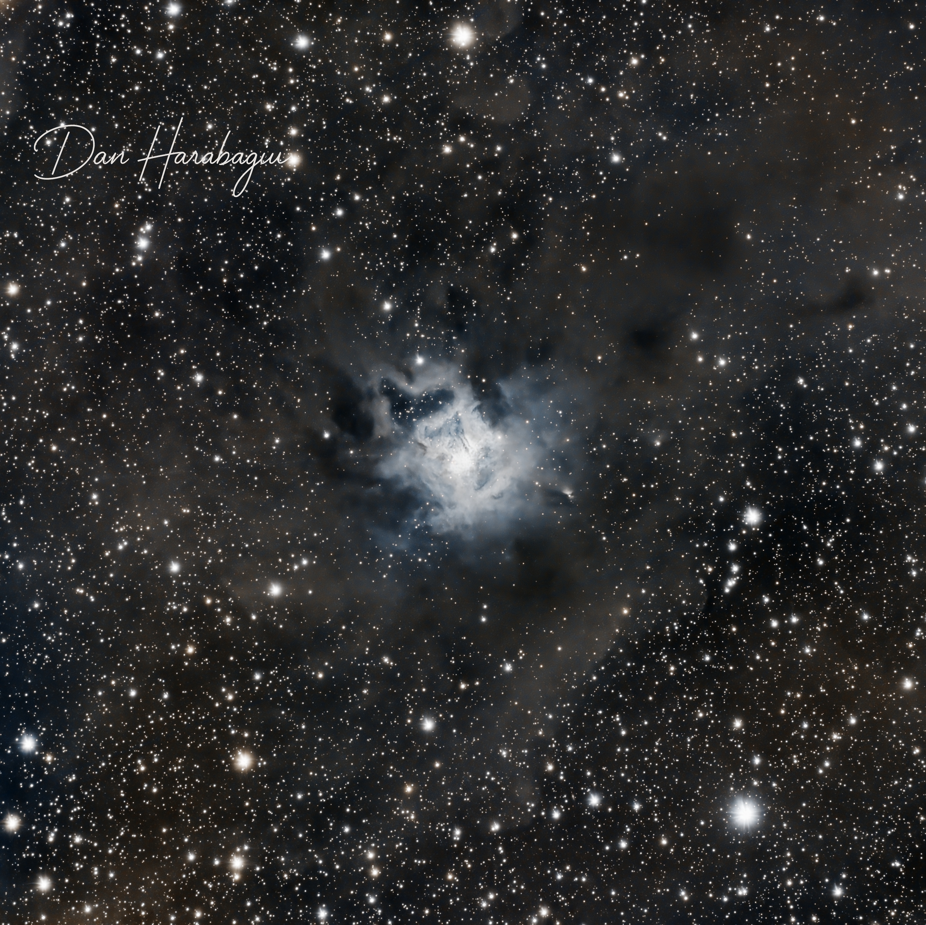 NGC 7023 – The Iris Nebula